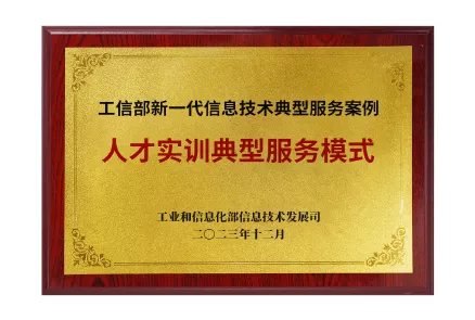 人才实训典型服务模式